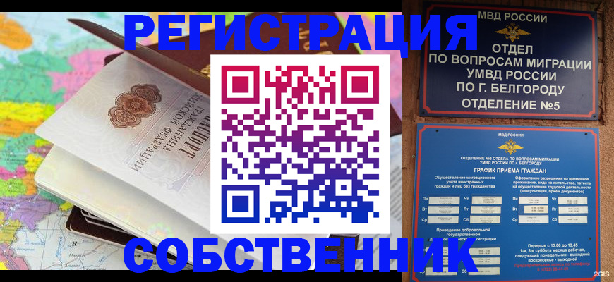 временная регистрация гарантия в Могочи